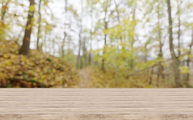 포토 JPG 해외이미지 나무 백그라운드 자연 탁자 표면 추상 선반 바닥 사람없음 야외 목재 빛 노란색 우주 공백 시골 발표 고급 상품 정상 소프트포커스 숲 책상 질감 떠남 블러 목업 해외포토 식물 컬러 가구 컨셉 무늬 재료 모션 촬영기법 생태계 파일형식 이미지허브