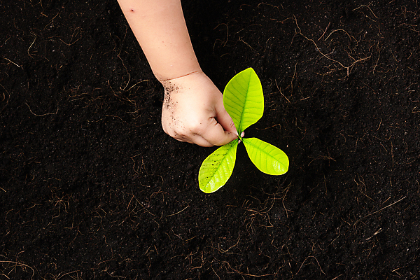 포토 JPG 해외이미지 주간 손 야외 신체부위 새싹 흙 해외포토 자연요소 식물 사람 파일형식 이미지허브