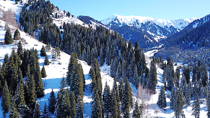 포토 JPG 해외이미지 나무 계절 여행 크리스마스 겨울 자연 하늘 바람 산 안테나 파노라마 그림자 경사 사람없음 파란색 태양 계곡 냉동 추위 광선 흰색 정상 숲 휴양지 장면 드론 절정 카자흐스탄 눈내림 가문비나무 해외포토 자연요소 식물 기념일 아시아 컬러 통신 날씨 눈_날씨 촬영기법 장소 생태계 파일형식 이미지허브