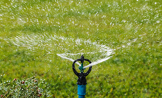 포토 JPG 해외이미지 산업 백그라운드 패턴 밭 농업 채소 자연 사람없음 야외 초록색 물 농장 농경지 환경 정원 장비 성장 도구 떨어짐 땅 밀 원예 분무기 문제 자원 밭일 생태학 스프링쿨러 세련 해외포토 자연요소 교육 컬러 컨셉 무늬 곡류 취미 생태계 파일형식 이미지허브