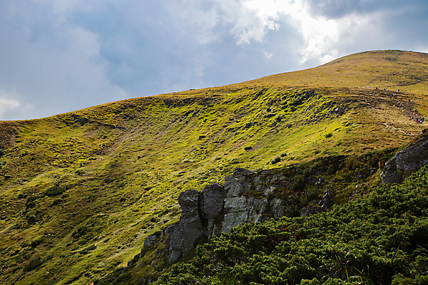 포토 JPG 해외이미지 나무 식물 계절 여행 백그라운드 밭 자연 하늘 날씨 산 파노라마 잔디 사람없음 야외 초록색 파란색 햇빛 태양 뷰티 농장 우주 환경 맑음 봄 활발 시골 신선 땅 언덕 장면 내추럴 수평선 해외포토 자연요소 컬러 컨셉 농업 촬영기법 생태계 파일형식 이미지허브