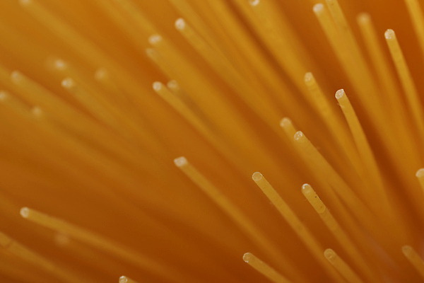 포토 JPG 해외이미지 전통 디자인 종이 문화 벽 백그라운드 패턴 다이어트 재료 벽지 표면 추상 파스타 스파게티 요리 사람없음 목재 파란색 컬러풀 노란색 주방 식당 어둠 페인트 이탈리아 수확 흰색 오브젝트 질감 그런지 마카로니 옛날 채식주의자 탄수화물 탈리아텔레 해외포토 나무 유럽 컬러 무늬 농업 서양음식 건강 상점 채식 파스타면 파일형식 이미지허브