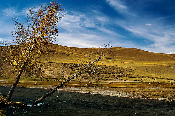 포토 JPG 해외이미지 나무 구름 길 분홍색 여행 백그라운드 자연 하늘 산 풍경 사람없음 초록색 강 컬러풀 환경 정원 골짜기 계곡 회색 흐름 바위 신선 개울 큼 그림 러시아 통과 산악지대 해외포토 자연요소 식물 유럽 컬러 컨셉 돌_바위 크기 생태계 파일형식 이미지허브