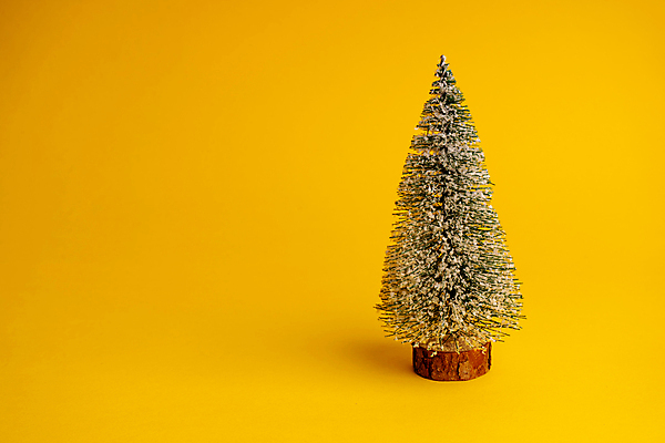 포토 JPG 해외이미지 나무 전통 디자인 계절 백그라운드 컨셉 크리스마스 겨울 자연 휴가 새해 사람없음 목재 장식 초록색 빛 노란색 우주 축제 수확 흰색 시골 축하 소나무 신용카드 눈송이 12월 심볼 엽서 전나무 고립 노엘 눈내림 가문비나무 해외포토 식물 기념일 컬러 농업 재료 눈_날씨 금융 날짜 편지 생태계 파일형식 이미지허브