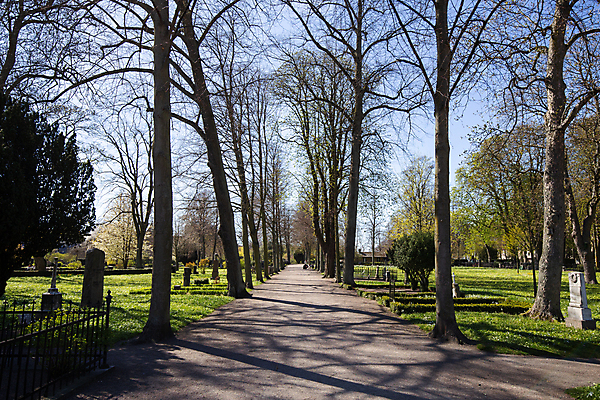 포토 JPG 해외이미지 나무 식물 공원 꽃 기독교 종교 길 자연 스웨덴 풍경 사람없음 야외 초록색 뷰티 환경 정원 봄 바위 죽음 무덤 역사 묘사 지역 내추럴 옛날 해외포토 계절 공공시설 컬러 북유럽 돌_바위 생태계 파일형식 이미지허브