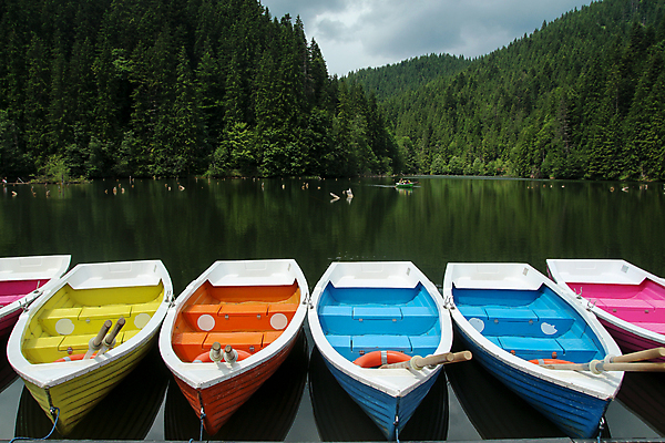 포토 JPG 해외이미지 나무 식물 호수 음식 여행 교통시설 자연 탁자 하늘 휴가 산 국립공원 서기 앉기 사람없음 야외 목재 초록색 물 파란색 강 반사 항구 보트 사발 작음 나룻배 카누 뱃놀이 해외포토 자연요소 공원 컬러 가구 교통 배_교통 재료 모션 전통놀이 수상스포츠 사기그릇 크기 시설 생태계 파일형식 이미지허브
