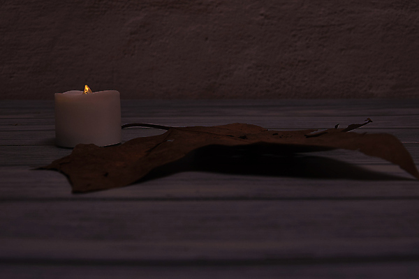 포토 JPG 해외이미지 나무 식물 계절 백그라운드 단풍 잎 텍스트 자연 표면 추상 잔디 사람없음 야외 목재 그래픽 가로 빛 갈색 노란색 환경 성장 가을 시골 죽음 역 고독 땅 허브 순수 생태계 질감 스위치 자원 대각선 내추럴 땅바닥 생태학 옛날 자금 카피스페이스 해외포토 교육 감정 선 컬러 컨셉 돈 무늬 재료 교통시설 바닥 금융 공백 파일형식 이미지허브