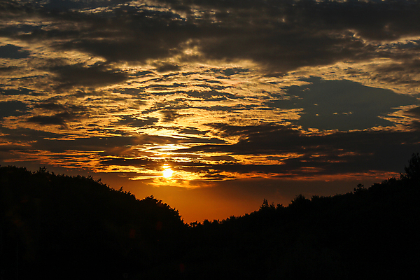 포토 JPG 해외이미지 주간 나무 실루엣 백그라운드 오렌지 자연 하늘 아침 날씨 산 사람없음 야외 물 빛 햇빛 태양 일출 어둠 일몰 분위기 황금 저녁 해외포토 자연요소 식물 컨셉 과일 촬영기법 노을 야간 생태계 파일형식 이미지허브
