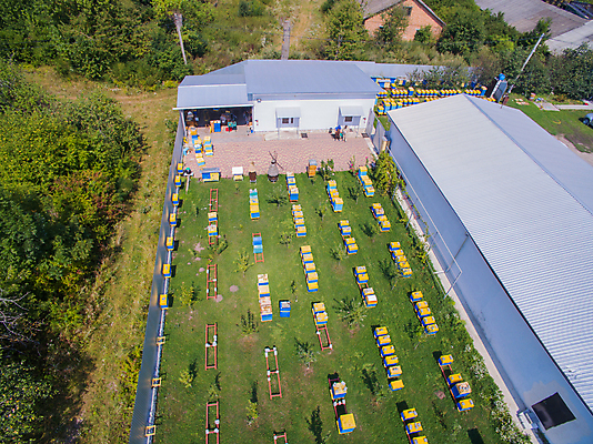 포토 JPG 해외이미지 동물 직업 음식 곤충 농업 자연 지붕 추상 안테나 건강 사람없음 목재 초록색 컬러풀 농장 노란색 정원 시골 달콤 꿀벌 유기농 꽃가루 꿀 벌집 내추럴 교외 드론 밀랍 밭일 생태학 양봉 양봉장 왁스 조감도 해외포토 나무 웰빙 교육 산업 컬러 무늬 재료 통신 맛 벌_곤충 가루 생태계 파일형식 이미지허브