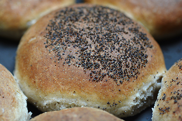 포토 JPG 해외이미지 음식 빵 사람없음 갈색 닫기 굽기 덩어리 해외포토 컬러 모션 구이 파일형식 이미지허브