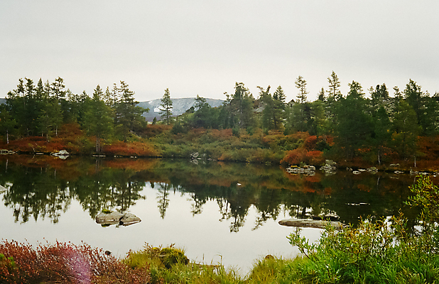 포토 JPG 해외이미지 나무 유럽 도로 여행 백그라운드 겨울 모션 자연 하늘 휴가 산 파노라마 사람없음 야외 초록색 물 파란색 강 뷰티 계곡 맑음 얼음 추위 개울 숲 강가 속도 러시아 내추럴 삼나무 폭풍우 해외포토 자연요소 식물 계절 나라 길 컬러 교통시설 날씨 촬영기법 비_날씨 자연재해 생태계 파일형식 이미지허브