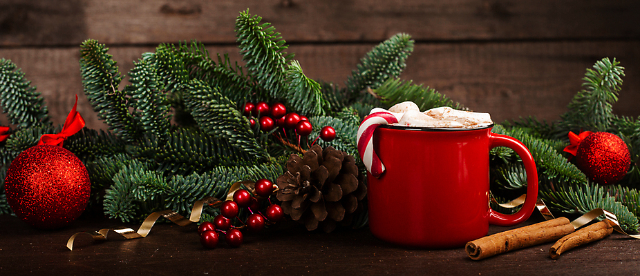 포토 JPG 해외이미지 나무 커피 음료 음식 백그라운드 크리스마스 겨울 공 지팡이 휴가 디저트 새해 주택 따뜻함 사탕 사람없음 목재 컵 빨간색 초콜릿 줄무늬 장식볼 머그컵 축하 뜨거움 신용카드 막대기 황금 클래식 달콤 코코아 전나무 마시멜로우 카카오 카피스페이스 안락 해외포토 식물 식기 계절 기념일 컬러 컨셉 무늬 재료 건물 장식 금융 공백 맛 파일형식 이미지허브