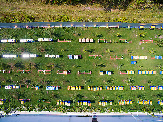 포토 JPG 해외이미지 동물 직업 음식 곤충 농업 자연 지붕 추상 안테나 건강 풍경 사람없음 목재 초록색 여름 컬러풀 농장 노란색 정원 시골 달콤 꿀벌 벌 유기농 꽃가루 꿀 벌집 내추럴 교외 드론 밀랍 밭일 생태학 양봉 양봉장 왁스 조감도 해외포토 나무 웰빙 계절 교육 산업 컬러 무늬 재료 통신 맛 벌_곤충 가루 생태계 파일형식 이미지허브
