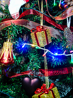 포토 JPG 해외이미지 나무 전통 계절 백그라운드 크리스마스장식 크리스마스 겨울 공 휴가 주택 기념 매달리기 선물 사람없음 장식 빛 컬러풀 크리스마스트리 축제 화환 장식볼 나뭇가지 축하 소나무 눈송이 야간 소프트포커스 12월 질감 해외포토 자연요소 식물 기념일 꽃 컬러 컨셉 모션 눈_날씨 촬영기법 건물 날짜 파일형식 이미지허브