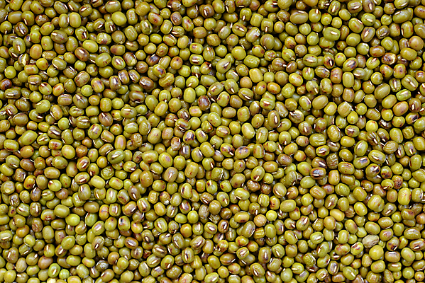 포토 JPG 해외이미지 식물 음식 백그라운드 채소 재료 자연 벽지 표면 콩 건조 건강 씨앗 사람없음 야외 초록색 갈색 쌓기 뜨거움 그룹 낟알 굽기 먹기 유기농 질감 날것 내추럴 단백질 생식 많음 비건 해외포토 웰빙 컬러 컨셉 모션 곡류 구이 생태계 영양소 채식주의자 파일형식 이미지허브