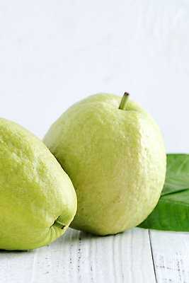 포토 JPG 해외이미지 잎 과일 실내 사람없음 흰배경 구아바 해외포토 식물 백그라운드 내부 흰색 열대과일 파일형식 이미지허브