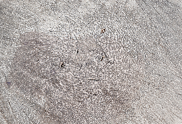 포토 JPG 해외이미지 나무 식물 백그라운드 십자가 부분 자연 벽지 표면 추상 건조 손바닥 사람없음 야외 목재 거친 묘사 질감 나무껍질 코코넛 잡동사니 내추럴 그런지 깨짐 수목 옛날 해외포토 손 컨셉 무늬 과일 재료 껍질 생태계 파일형식 이미지허브