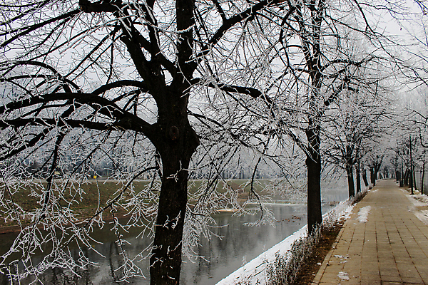 포토 JPG 해외이미지 나무 계절 길 여행 컨셉 겨울 자연 날씨 사람없음 야외 빛 강 평화 얼음 침묵 산책 산책로 하이킹 추위 흰색 나뭇가지 시골 도시 보행자 숲 오솔길 모험가 서리 다음 방법 혼자 눈내림 해외포토 자연요소 식물 컬러 레저 휴식 눈_날씨 소리 생태계 파일형식 이미지허브