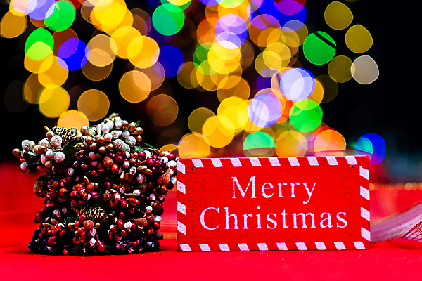 포토 JPG 해외이미지 전통 디자인 계절 리본 백그라운드 크리스마스장식 크리스마스 겨울 휴가 새로움 선물 사람없음 장식 빨간색 빛 크리스마스트리 축제 장식볼 수확 나뭇가지 축하 인사 클래식 상품 소프트포커스 12월 보케 해피뉴이어 빛망울 크리스마스이브 크리스마스배경 해외포토 나무 기념일 컬러 컨셉 농업 촬영기법 새해인사 예절 날짜 파일형식 이미지허브