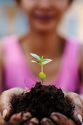 포토 JPG 해외이미지 나무 식물 손 컨셉 잎 농업 자연 아이디어 사람없음 초록색 새싹 환경 정원 검은색 흙 성장 잡기 보호 작음 주기 에코 생태계 원예 먼지 내추럴 돌봄 모종 묘목 바이오 생태학 해외포토 교육 산업 컬러 모션 취미 신체부위 크기 파일형식 이미지허브
