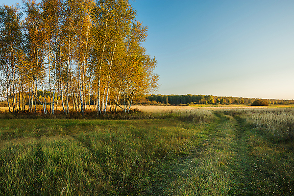 포토 JPG 해외이미지 나무 계절 도로 길 단풍 잎 밭 오렌지 자연 하늘 풍경 사람없음 야외 목재 초록색 파란색 컬러풀 노란색 가을 시골 숲 10월 해외포토 식물 컬러 농업 과일 재료 교통시설 날짜 생태계 파일형식 이미지허브