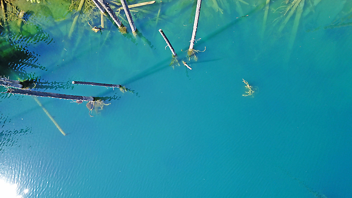 포토 JPG 해외이미지 나무 공원 호수 여행 자연 하늘 산 안테나 파노라마 사람 풍경 사람없음 초록색 물 여름 파란색 뷰티 계곡 침묵 산책 나뭇가지 소나무 정상 숲 지역 내추럴 드론 전국 카자흐스탄 해외포토 자연요소 식물 계절 공공시설 아시아 컬러 통신 휴식 촬영기법 소리 생태계 파일형식 이미지허브