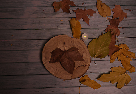 포토 JPG 해외이미지 나무 식물 계절 백그라운드 단풍 잎 텍스트 자연 표면 추상 잔디 사람없음 야외 목재 그래픽 가로 빛 갈색 노란색 환경 성장 가을 시골 죽음 역 고독 땅 허브 순수 생태계 질감 스위치 자원 대각선 내추럴 땅바닥 생태학 옛날 자금 카피스페이스 해외포토 교육 감정 선 컬러 컨셉 돈 무늬 재료 교통시설 바닥 금융 공백 파일형식 이미지허브