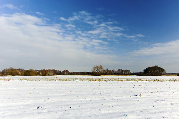 포토 JPG 해외이미지 나무 구름 계절 백그라운드 겨울 밭 자연 하늘 날씨 풍경 사람없음 야외 파란색 뷰티 얼음 추위 흰색 시골 숲 서리 장면 눈내림 수평선 해외포토 자연요소 식물 컬러 농업 눈_날씨 생태계 파일형식 이미지허브