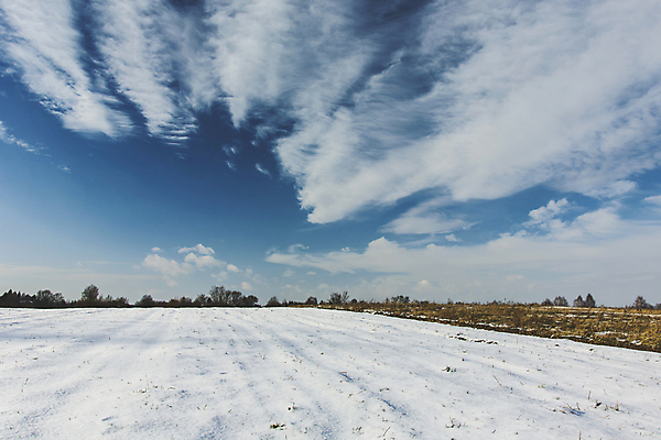 포토 JPG 해외이미지 계절 백그라운드 겨울 밭 자연 하늘 날씨 사람없음 야외 파란색 햇빛 농경지 냉동 얼음 희망 추위 흰색 시골 서리 장면 천국 눈내림 수평선 해외포토 자연요소 감정 컬러 농업 눈_날씨 태양 농장 생태계 파일형식 이미지허브