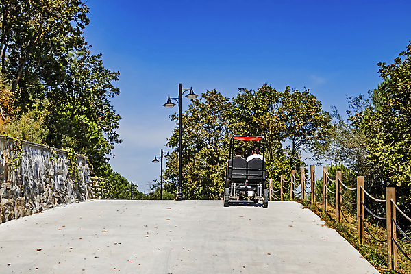 포토 JPG 해외이미지 나무 식물 구름 계절 공원 도로 길 백그라운드 잎 밭 벤치 자연 하늘 휴식 거리 풍경 잔디 사람없음 야외 목재 초록색 여름 파란색 빛 햇빛 태양 환경 정원 맑음 봄 산책 도시 숲 오솔길 땅 장면 내추럴 땅바닥 방법 해외포토 자연요소 공공시설 컬러 컨셉 농업 의자 재료 교통시설 날씨 바닥 생태계 파일형식 이미지허브