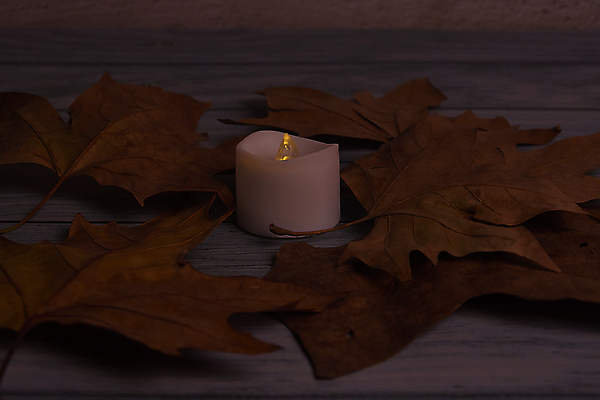 포토 JPG 해외이미지 나무 식물 계절 백그라운드 단풍 잎 텍스트 자연 표면 추상 잔디 사람없음 야외 목재 그래픽 가로 빛 갈색 노란색 환경 성장 시골 죽음 역 고독 땅 허브 순수 생태계 질감 스위치 자원 대각선 내추럴 땅바닥 생태학 옛날 자금 카피스페이스 해외포토 교육 감정 선 컬러 컨셉 돈 무늬 재료 교통시설 바닥 금융 공백 파일형식 이미지허브