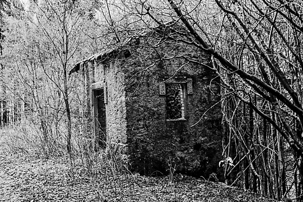 포토 JPG 해외이미지 외관 유럽 산업 교통시설 자연 프레임 실내 안전 사람없음 야외 건물 목재 힘 이탈리아 방 기차 수확 골동품 업무 역 숲 캐비닛 버리기 계주 복고 트랙 시스템 공학 구식 선로 세기 옛날 제어 조작 철강 터미널 해외포토 나무 건축물 교육 나라 육상교통 교통 농업 재료 모션 대중교통 내부 작업 사물함 육상스포츠 시설 생태계 파일형식 이미지허브