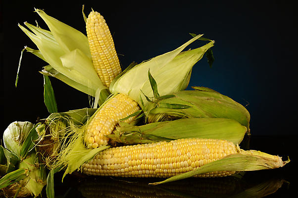 포토 JPG 해외이미지 계절 음식 백그라운드 잎 농업 채소 자연 건강 옥수수 사람없음 가로 초록색 농작물 농장 노란색 쌓기 활발 수확 껍질 신선 그룹 시장 달콤 낟알 시리얼 유기농 날것 귀 흙더미 내추럴 밭일 생식 숙성 영양분 많음 해외포토 식물 웰빙 산업 컬러 컨셉 모션 곡류 신체부위 흙 맛 생태계 파일형식 더미 이미지허브