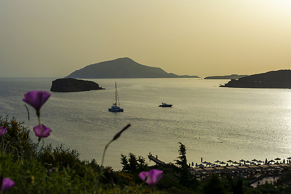 포토 JPG 해외이미지 나무 계절 실루엣 유럽 바다 여행 하늘 휴가 파노라마 사람없음 야외 물 빛 햇빛 뷰티 노란색 여행객 환경 황혼 일몰 활발 만 보트 저녁 지중해 그리스 언덕 장면 아테네 포트 그리스인 내추럴 화창 수평선 해외포토 자연요소 서양인 식물 나라 컬러 컨셉 배_교통 날씨 촬영기법 사람 태양 노을 야간 파일형식 이미지허브