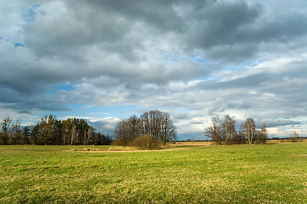 포토 JPG 해외이미지 나무 구름 계절 여행 백그라운드 밭 자연 하늘 풍경 사람없음 야외 목재 초록색 파란색 뷰티 평화 환경 맑음 봄 회색 흰색 시골 숲 땅 솜털 해외포토 자연요소 식물 컬러 컨셉 농업 재료 날씨 생태계 파일형식 이미지허브