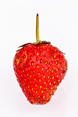 포토 JPG 해외이미지 열매 음식 백그라운드 잎 다이어트 과일 자연 벽지 딸기 디저트 프레임 건강 사람없음 빨간색 초록색 컬러풀 정원 주스 봄 수확 신선 달콤 맛 아침식사 먹기 유기농 질감 내추럴 고립 숙성 채식주의자 해외포토 식물 웰빙 계절 음료 컬러 컨셉 농업 모션 식사 생태계 채식 파일형식 이미지허브