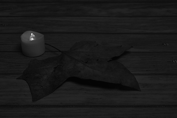 포토 JPG 해외이미지 나무 식물 계절 백그라운드 단풍 잎 텍스트 자연 표면 추상 잔디 사람없음 야외 목재 그래픽 가로 빛 갈색 노란색 환경 성장 가을 시골 죽음 역 고독 땅 허브 순수 생태계 질감 스위치 자원 대각선 내추럴 땅바닥 생태학 옛날 자금 카피스페이스 해외포토 교육 감정 선 컬러 컨셉 돈 무늬 재료 교통시설 바닥 금융 공백 파일형식 이미지허브