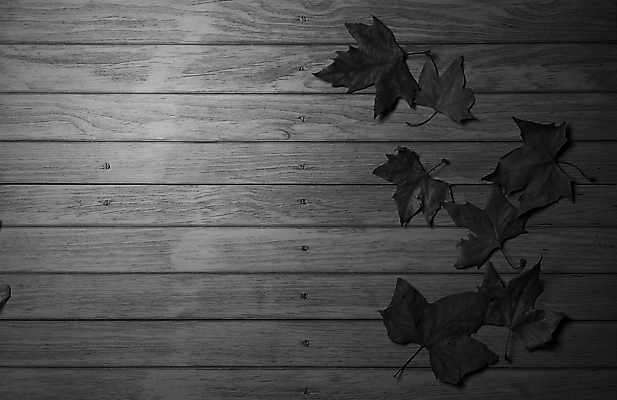 포토 JPG 해외이미지 나무 식물 계절 백그라운드 단풍 잎 텍스트 자연 표면 추상 잔디 사람없음 야외 목재 그래픽 가로 빛 갈색 노란색 환경 성장 가을 시골 죽음 역 고독 땅 허브 순수 생태계 질감 스위치 자원 대각선 내추럴 땅바닥 생태학 옛날 자금 카피스페이스 해외포토 교육 감정 선 컬러 컨셉 돈 무늬 재료 교통시설 바닥 금융 공백 파일형식 이미지허브