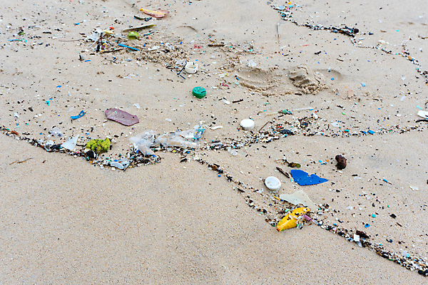 포토 JPG 해외이미지 산업 바다 백그라운드 가방 자연 사람없음 초록색 물 파란색 반려동물 글로벌 쌓기 환경 수중 재활용 손상 흰색 산호 보호 쓰레기 폐기물 파편 컨테이너 플라스틱 암초 문제 밀짚 낭비 생태학 해외포토 자연요소 동물 잡화 교육 컬러 컨셉 모션 재질 자포동물 짚 친환경 생태계 파일형식 이미지허브
