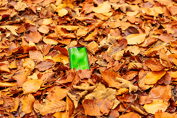 포토 JPG 해외이미지 식물 라이프스타일 디자인 공원 백그라운드 컨셉 잎 인터넷 비즈니스 통신 자연 탁자 모바일 세포 직장 사람 사람없음 야외 목재 초록색 여름 스마트폰 핸드폰 컴퓨터 알약 노란색 디지털 스크린 공백 가을 메시지 연결 무선전화기 스마트 온라인 내추럴 소셜 목업 카피스페이스 해외포토 나무 계절 공공시설 컬러 가구 회사 재료 생활 전자제품 스마트기기 약 전화기 생태계 파일형식 이미지허브