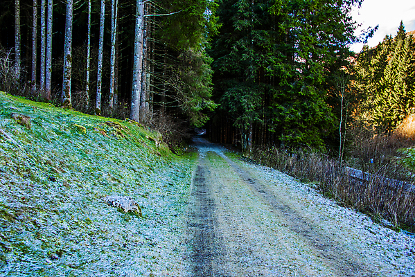 포토 JPG 해외이미지 나무 계절 공원 유럽 도로 여행 백그라운드 크리스마스 겨울 자연 하늘 날씨 풍경 사람없음 야외 목재 초록색 파란색 뷰티 환경 냉동 얼음 이탈리아 추위 흰색 시골 숲 서리 먼지 장면 내추럴 방법 선로 폭설 눈내림 해외포토 자연요소 식물 공공시설 기념일 나라 길 컬러 재료 교통시설 눈_날씨 자연재해 생태계 파일형식 이미지허브