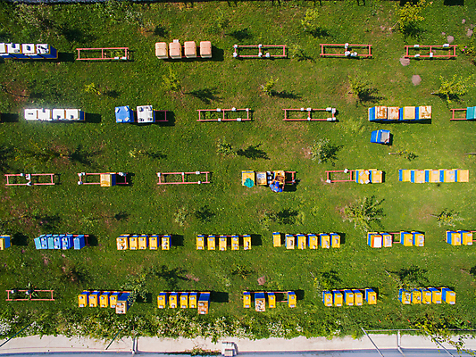 포토 JPG 해외이미지 동물 직업 음식 곤충 농업 자연 지붕 추상 안테나 건강 사람없음 목재 초록색 컬러풀 농장 노란색 정원 시골 달콤 꿀벌 유기농 꽃가루 꿀 벌집 내추럴 교외 드론 밀랍 밭일 생태학 양봉 양봉장 왁스 조감도 해외포토 나무 웰빙 교육 산업 컬러 무늬 재료 통신 맛 벌_곤충 가루 생태계 파일형식 이미지허브