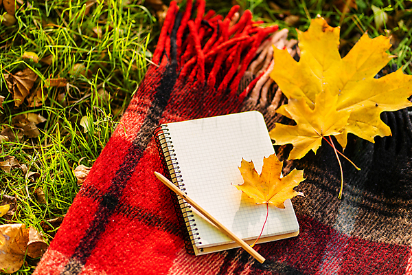 포토 JPG 해외이미지 주간 문구용품 사람없음 야외 책 사무용품 해외포토 자연요소 오브젝트 파일형식 이미지허브