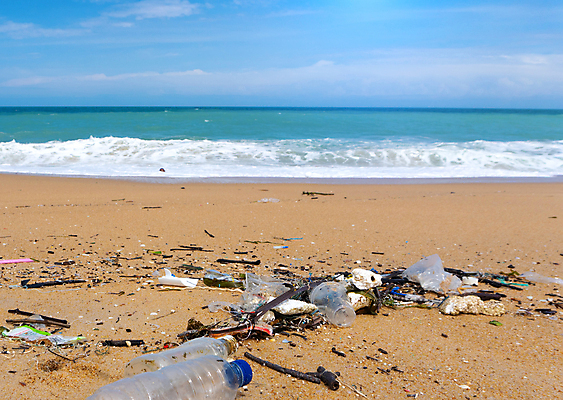 포토 JPG 해외이미지 산업 바다 백그라운드 가방 자연 사람없음 초록색 물 파란색 반려동물 글로벌 쌓기 환경 수중 재활용 손상 흰색 산호 보호 쓰레기 폐기물 파편 컨테이너 플라스틱 암초 문제 밀짚 낭비 생태학 해외포토 자연요소 동물 잡화 교육 컬러 컨셉 모션 재질 자포동물 짚 친환경 생태계 파일형식 이미지허브