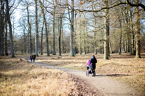 포토 JPG 해외이미지 커플 공원 유럽 문화 여행 가족 자연 덴마크 사람 사람없음 야외 여행객 걷기 카트 봄 시골 역사 숲 주말 유모차 코펜하겐 해외포토 계절 공공시설 나라 관계 모션 북유럽 아기용품 생태계 파일형식 이미지허브