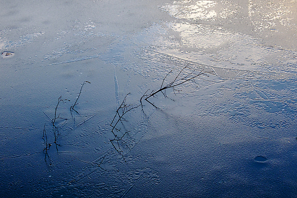 포토 JPG 해외이미지 계절 백그라운드 겨울 패턴 자연 표면 사람없음 야외 물 파란색 냉동 얼음 침묵 추위 나뭇가지 연못 질감 내추럴 해외포토 자연요소 나무 컬러 무늬 소리 생태계 파일형식 이미지허브