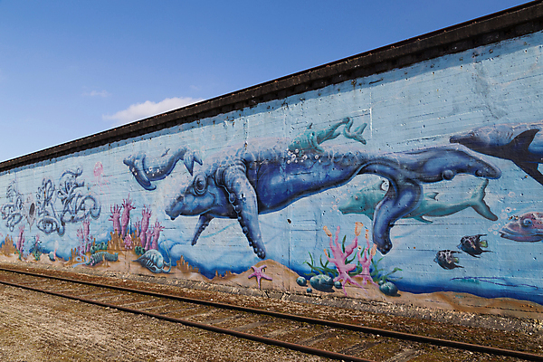 포토 JPG 해외이미지 디자인 산업 문화 벽 여행 건축양식 거리 주택 덴마크 미술 사람없음 야외 건물 컬러풀 페인트 기록 도시 캔 그래피티 버리기 벽화 그림 예술가 스프레이 분무기 지역 코펜하겐 스타일 해외포토 건축물 건축 컬러 모션 문화예술 북유럽 낙서 파일형식 이미지허브