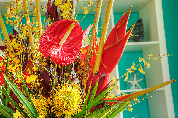 포토 JPG 해외이미지 식물 꽃 사람없음 해외포토 파일형식 이미지허브