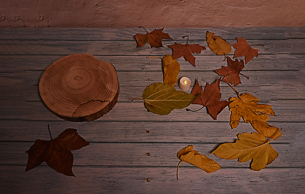 포토 JPG 해외이미지 나무 식물 계절 백그라운드 단풍 잎 텍스트 자연 표면 추상 잔디 사람없음 야외 목재 그래픽 가로 빛 갈색 노란색 환경 성장 가을 시골 죽음 역 고독 땅 허브 순수 생태계 질감 스위치 자원 대각선 내추럴 땅바닥 생태학 옛날 자금 카피스페이스 해외포토 교육 감정 선 컬러 컨셉 돈 무늬 재료 교통시설 바닥 금융 공백 파일형식 이미지허브