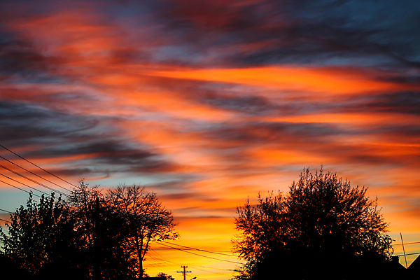 포토 JPG 해외이미지 나무 계절 실루엣 여행 백그라운드 오렌지 자연 하늘 사람없음 야외 빨간색 파란색 빛 햇빛 태양 뷰티 노란색 일몰 전선 저녁 봉 해외포토 자연요소 식물 컬러 과일 촬영기법 노을 야간 생태계 파일형식 이미지허브